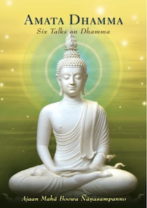 amata-dhamma-