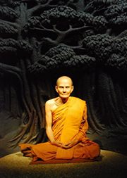 พากันหันกลับมา